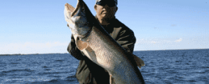 Walleye fishing packages — Elk Island Lodge – Elk Island Lodge